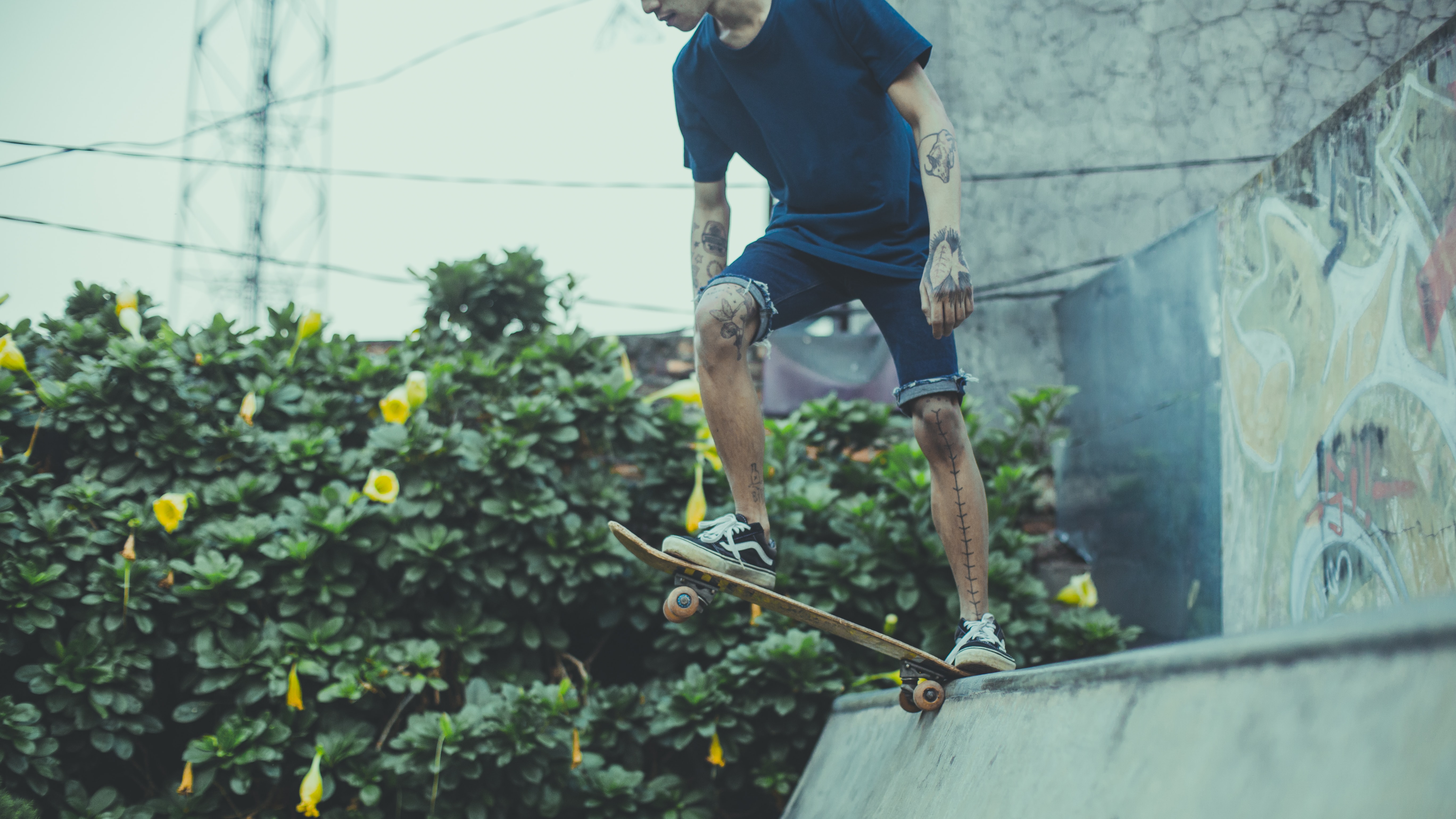 Person on skateboard about to plunge down skateboard ramp